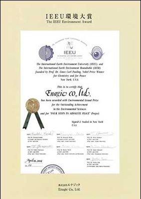 IEEU Environment Award